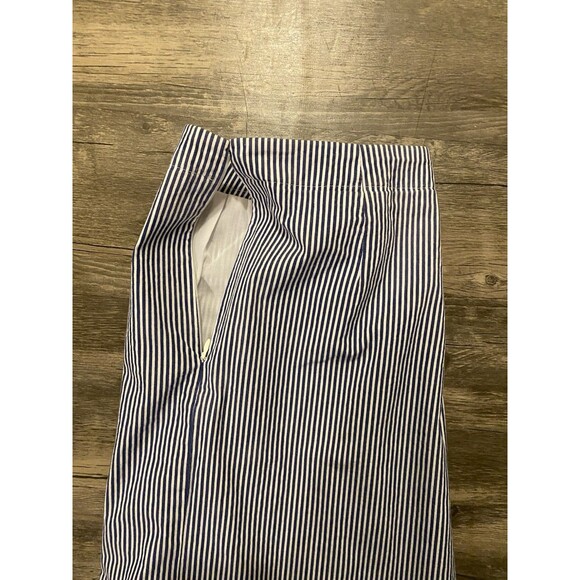 Talbots Woman Cotton Blend Blue Pinstriped Lined A-Line Skirt Size 10 - Picture 4 of 7